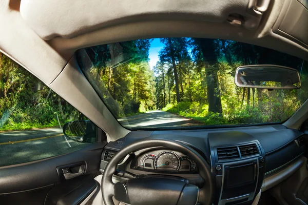 View inside the car