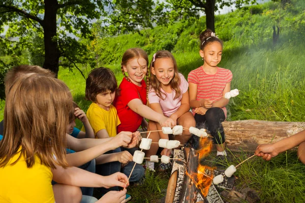 Teenagers sitting near bonfire with marshmallow