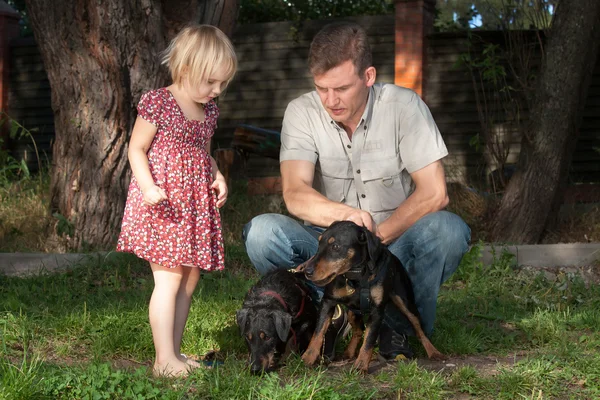 The father with the daughter look at two dogs Jagdterriers