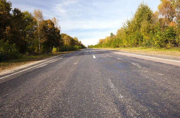 Paved road in autumn -