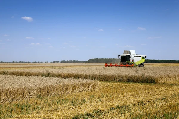 Harvester in the field