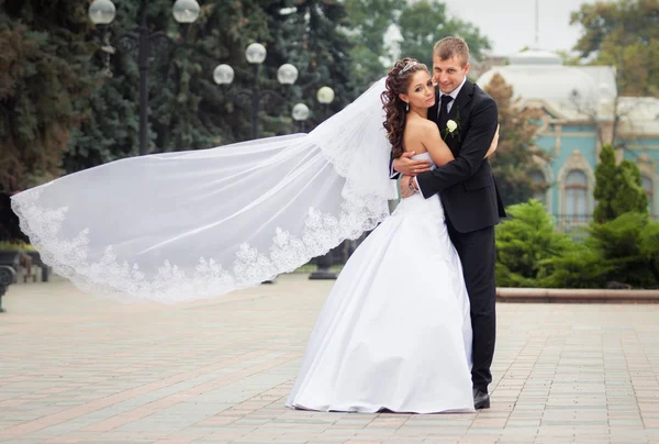 Beautiful wedding couple