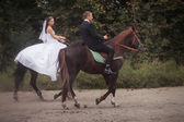 depositphotos_52943073-wedding-couple-on