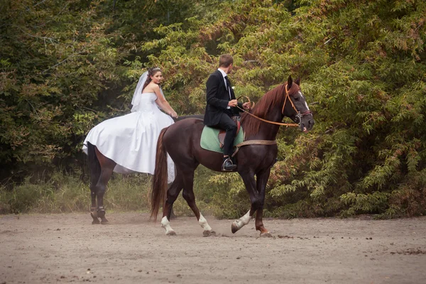 Wedding couple on horses