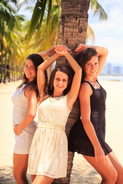Three brunette slim girls lean on palm on beach