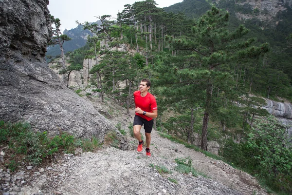 Man running in forest and mountains training and exercising for