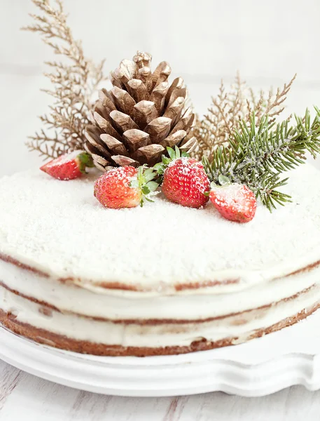 Series of winter xmas coconut cake. Decorate with strawberry, coconut and forest cone