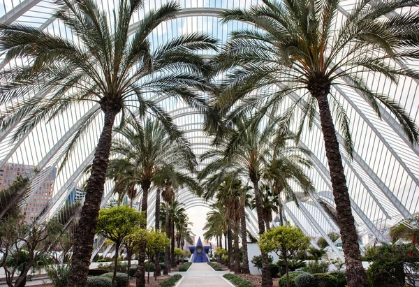 The City of Arts and Sciences