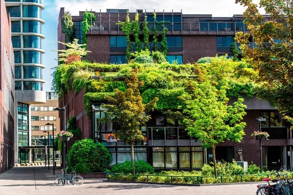 Modern building covered with green ivy