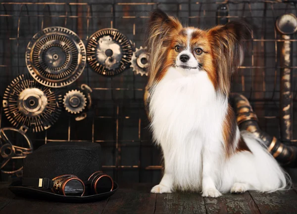 Dog on a background in the style of steampunk