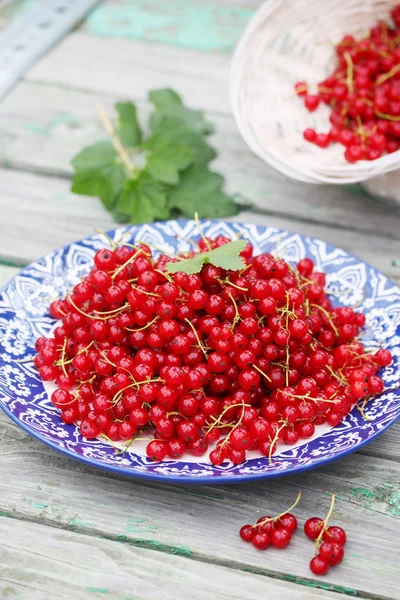 Red currants organic red currants on the plate