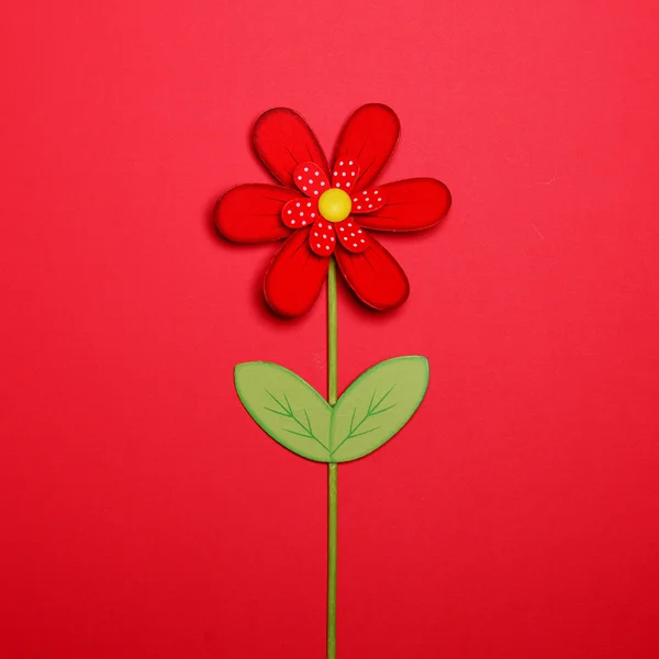 Red flower on red background - Flat lay minimal design