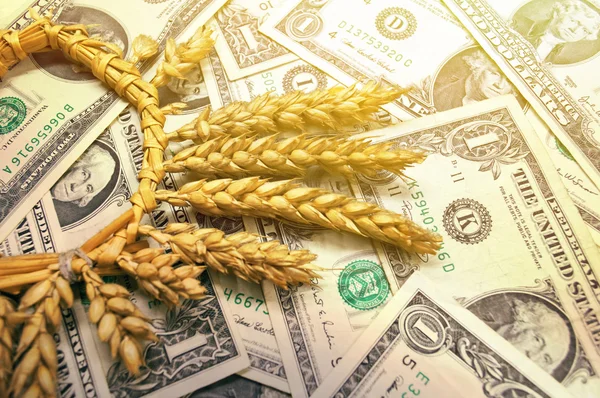 Wheat and dollar banknote in close up