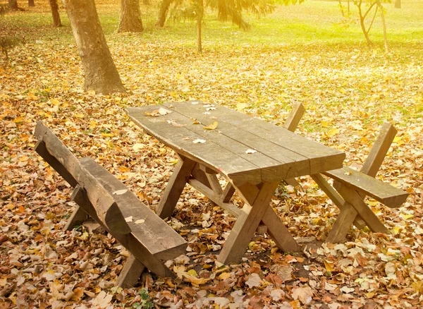 Wooden picnic table and bench in autumn forest