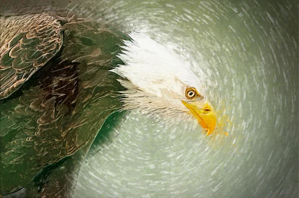 Illustration of eagle head