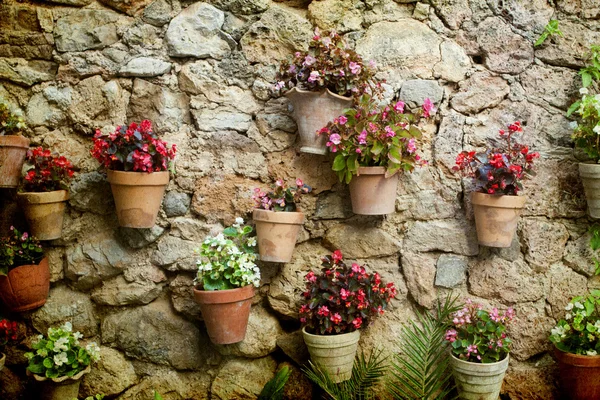 Stone house wall with flowers