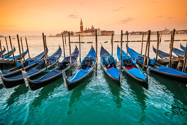 Moored gondolas in a row during sunrise in Venice.
