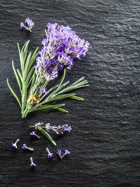 Bunch of lavandula or lavender flowers on graphite board.