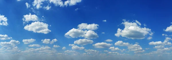 White heap clouds in the blue sky at summer day.