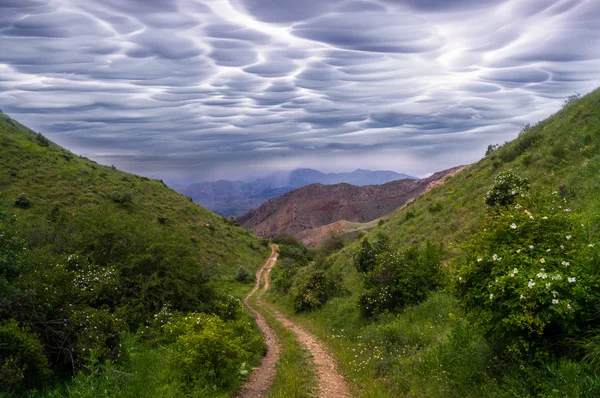 Summer storm landscape