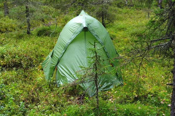 Single tourist tent in the north forest in the rain