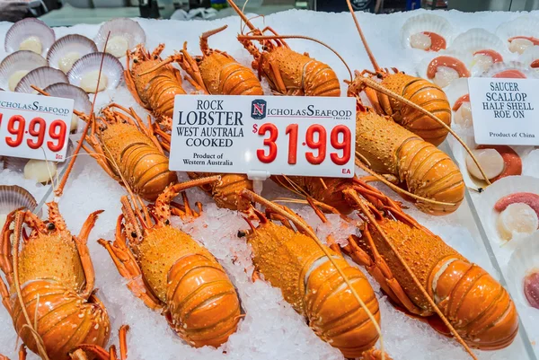 Rock Lobster - Fish Market