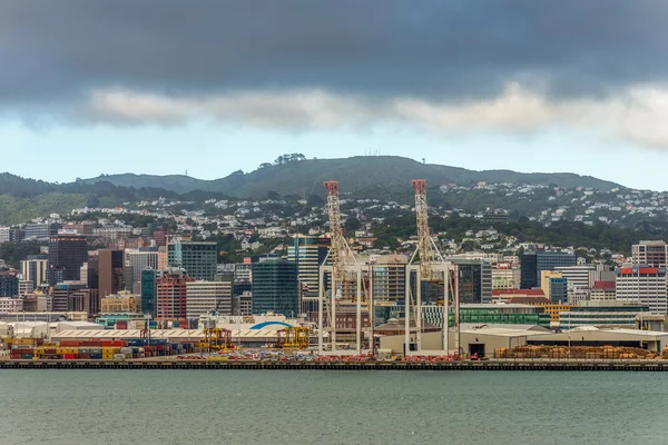 Wellington harbor, New Zealand