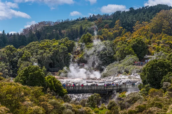 People watching Pohutu Geyser in Rotorua, New Zealand