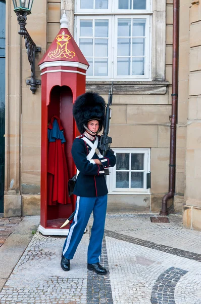 Guard at Amalienborg Palace, Copenhagen, Denmark