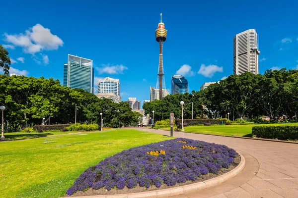 View at Sydney Moore Park - Sydney, Australia