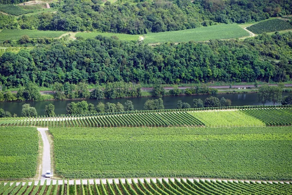 View of Mosel valley