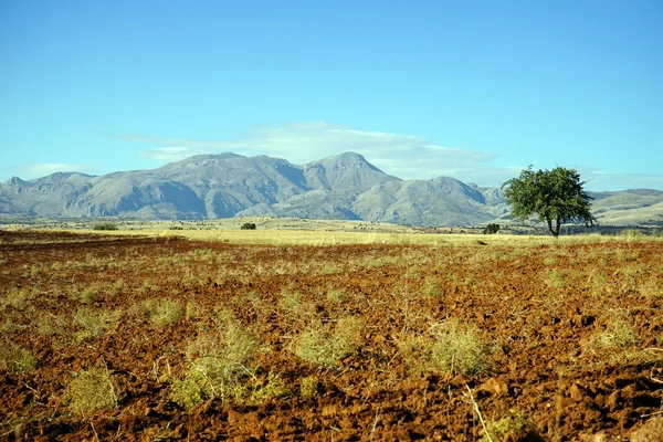 Plowed land