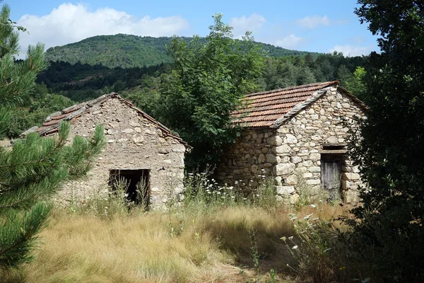 Two stone farm houses near pine trees