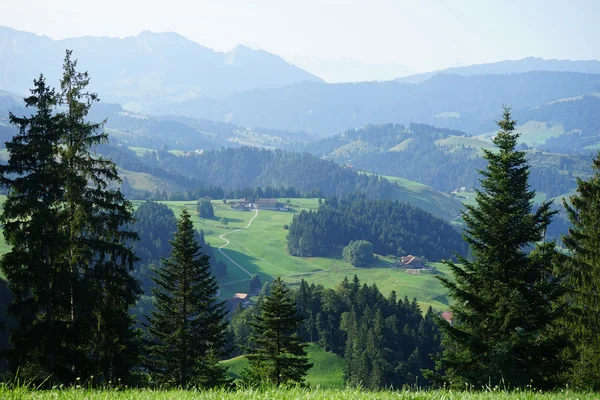 Green valley in rural area of Swiss Alps,