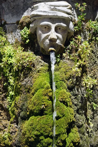 Stone head and fountain