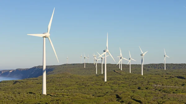 Albany Wind Farm