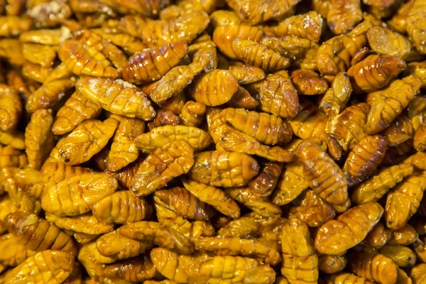 Edible insects close up