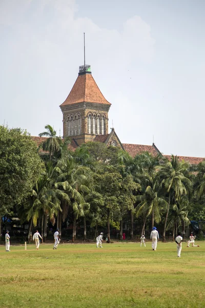 Cricket in Mumbai, India