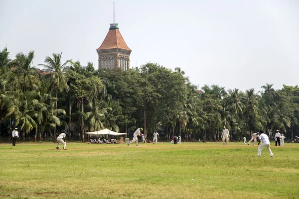 Cricket in Mumbai, India