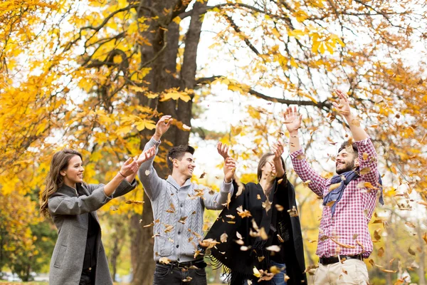 Young people in autumn park