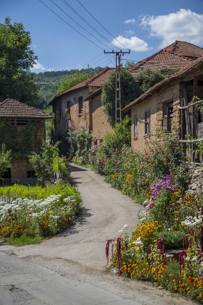 Old houses from Serbia