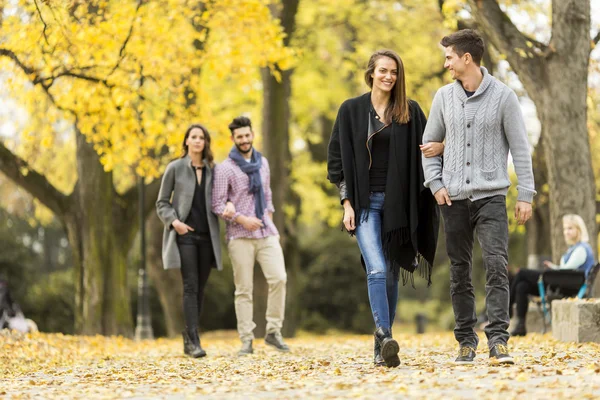 Young people in the autumn park