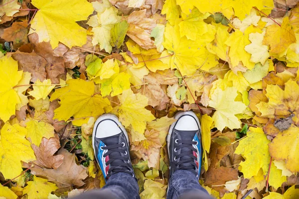 Feet in chucks standing on leaves