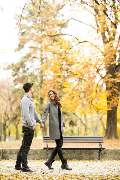 Young couple in the park