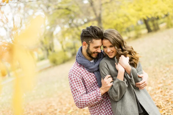 Young couple in the park