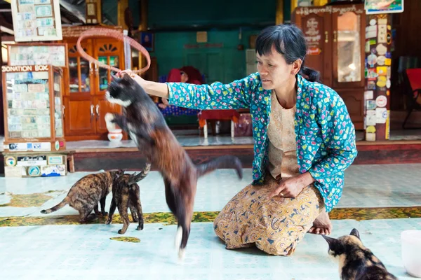 Woman performing a show with jumping cats