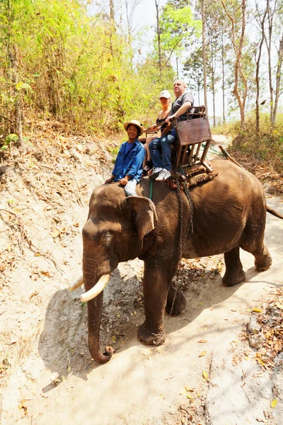 Elephant Ride in Maesa Camp, Thailand