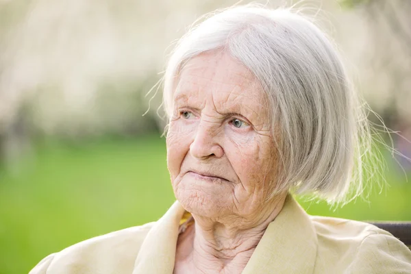 Portrait of an aged woman