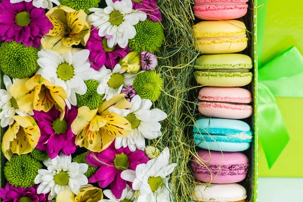 Closeup of gift box with flowers and macaroon cake (shallow DOF)