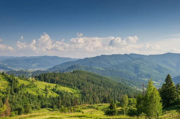 Summer day in the mountains. Carpathian, Ukraine, Europe.